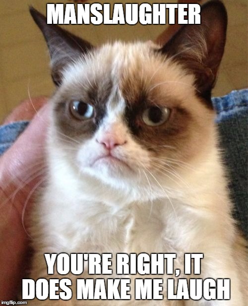Grumpy Cat Meme | MANSLAUGHTER YOU'RE RIGHT, IT DOES MAKE ME LAUGH | image tagged in memes,grumpy cat | made w/ Imgflip meme maker