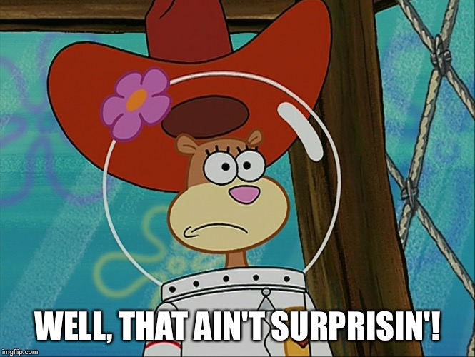Well, That Ain't Surprisin'! | WELL, THAT AIN'T SURPRISIN'! | image tagged in sandy cheeks,confused,spongebob squarepants,cowboy hat,memes,cowgirl | made w/ Imgflip meme maker