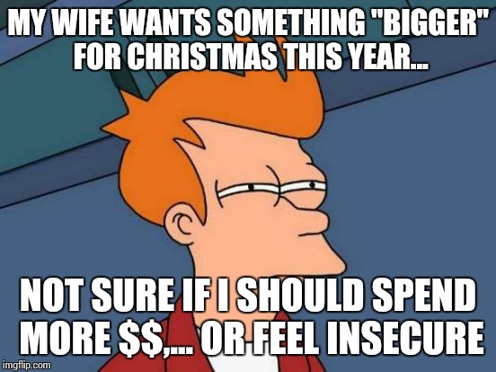 Futurama Fry | MY WIFE WANTS SOMETHING "BIGGER" FOR CHRISTMAS THIS YEAR... NOT SURE IF I SHOULD SPEND MORE $$,... OR FEEL INSECURE | image tagged in memes,futurama fry | made w/ Imgflip meme maker