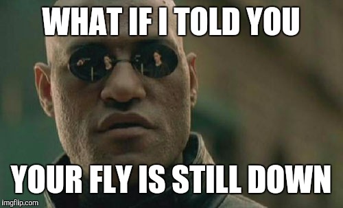 Matrix Morpheus Meme | WHAT IF I TOLD YOU YOUR FLY IS STILL DOWN | image tagged in memes,matrix morpheus | made w/ Imgflip meme maker