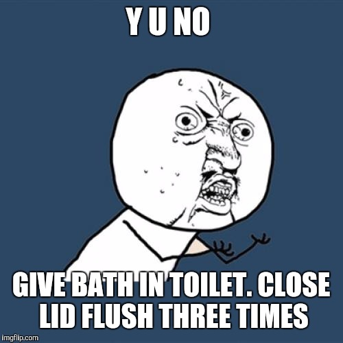 Y U No Meme | Y U NO GIVE BATH IN TOILET. CLOSE LID FLUSH THREE TIMES | image tagged in memes,y u no | made w/ Imgflip meme maker