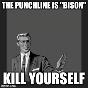 Kill Yourself Guy Meme | THE PUNCHLINE IS "BISON" KILL YOURSELF | image tagged in memes,kill yourself guy | made w/ Imgflip meme maker