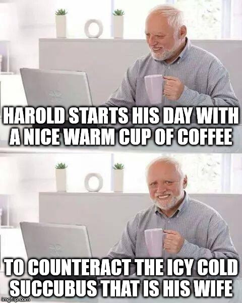 Hide the Pain Harold Meme | HAROLD STARTS HIS DAY WITH A NICE WARM CUP OF COFFEE TO COUNTERACT THE ICY COLD SUCCUBUS THAT IS HIS WIFE | image tagged in hide the pain harold | made w/ Imgflip meme maker