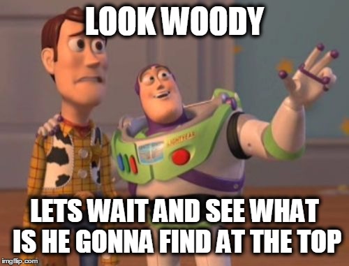 X, X Everywhere Meme | LOOK WOODY LETS WAIT AND SEE WHAT IS HE GONNA FIND AT THE TOP | image tagged in memes,x x everywhere | made w/ Imgflip meme maker