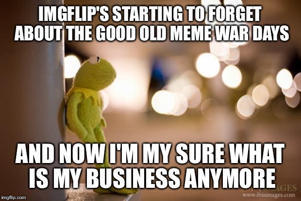 Kermit Reflecting  | IMGFLIP'S STARTING TO FORGET ABOUT THE GOOD OLD MEME WAR DAYS AND NOW I'M MY SURE WHAT IS MY BUSINESS ANYMORE | image tagged in kermit reflecting | made w/ Imgflip meme maker