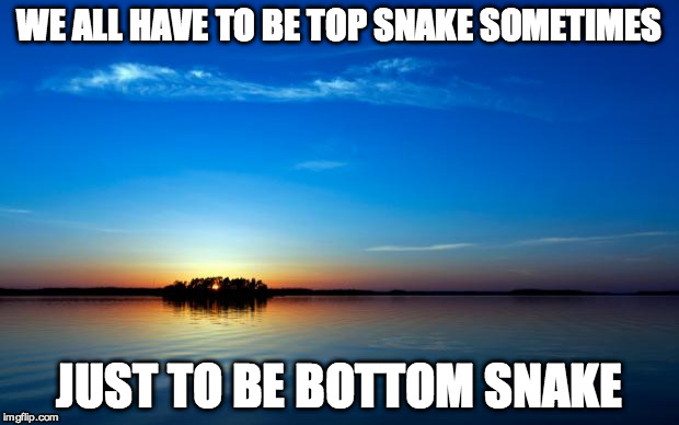 Inspirational Quote | WE ALL HAVE TO BE TOP SNAKE SOMETIMES JUST TO BE BOTTOM SNAKE | image tagged in inspirational quote | made w/ Imgflip meme maker