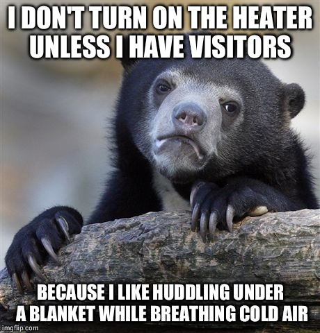 Confession Bear | I DON'T TURN ON THE HEATER UNLESS I HAVE VISITORS BECAUSE I LIKE HUDDLING UNDER A BLANKET WHILE BREATHING COLD AIR | image tagged in memes,confession bear | made w/ Imgflip meme maker
