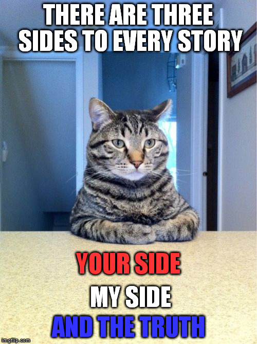 Always a different spin on things. | THERE ARE THREE SIDES TO EVERY STORY AND THE TRUTH MY SIDE YOUR SIDE | image tagged in memes,take a seat cat | made w/ Imgflip meme maker