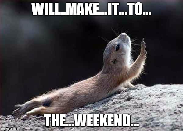 go on without me squirrel | WILL..MAKE...IT...TO... THE...WEEKEND... | image tagged in go on without me squirrel | made w/ Imgflip meme maker