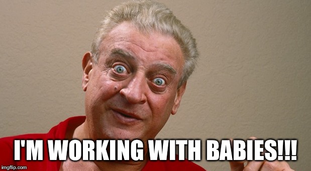 I'M WORKING WITH BABIES!!! | image tagged in work,babies | made w/ Imgflip meme maker
