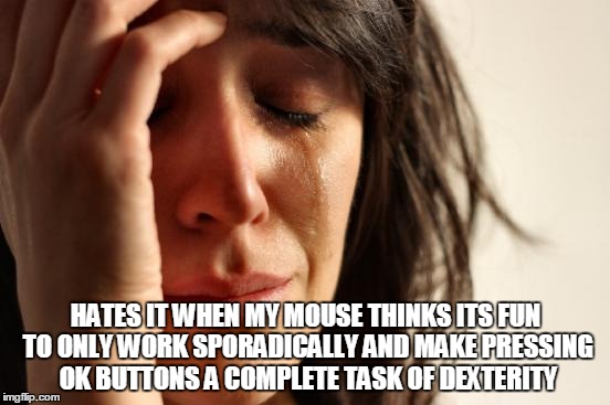 First World Problems | HATES IT WHEN MY MOUSE THINKS ITS FUN TO ONLY WORK SPORADICALLY AND MAKE PRESSING OK BUTTONS A COMPLETE TASK OF DEXTERITY | image tagged in memes,first world problems | made w/ Imgflip meme maker