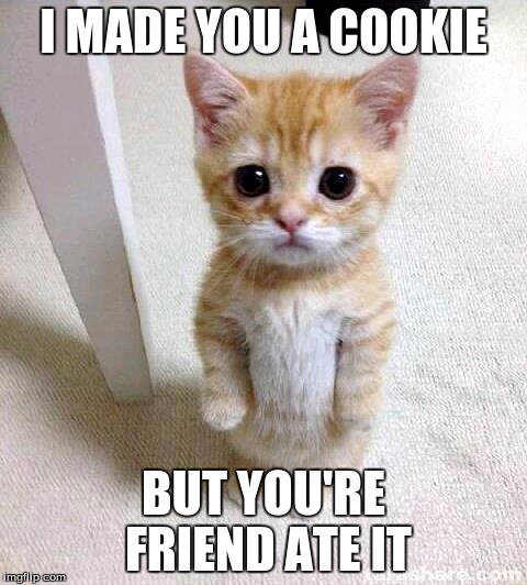 Cute Cat Meme | I MADE YOU A COOKIE BUT YOU'RE FRIEND ATE IT | image tagged in memes,cute cat | made w/ Imgflip meme maker