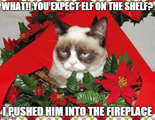Grumpy Cat Mistletoe Meme | WHAT!! YOU EXPECT ELF ON THE SHELF? I PUSHED HIM INTO THE FIREPLACE | image tagged in memes,grumpy cat mistletoe,grumpy cat | made w/ Imgflip meme maker