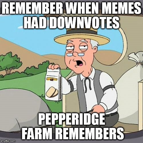 Pepperidge Farm Remembers | REMEMBER WHEN MEMES HAD DOWNVOTES PEPPERIDGE FARM REMEMBERS | image tagged in memes,pepperidge farm remembers | made w/ Imgflip meme maker