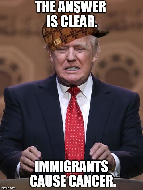 Donald Trump | THE ANSWER IS CLEAR. IMMIGRANTS CAUSE CANCER. | image tagged in donald trump,scumbag | made w/ Imgflip meme maker