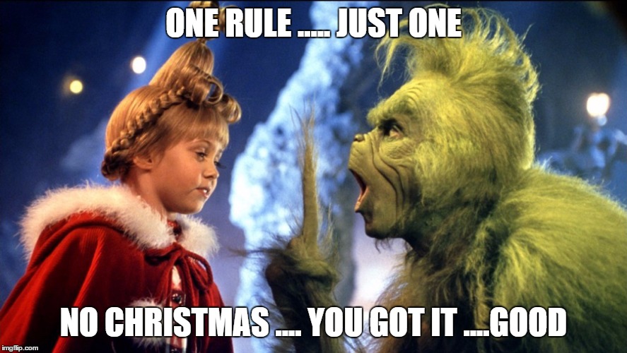 no christmas | ONE RULE ..... JUST ONE NO CHRISTMAS .... YOU GOT IT ....GOOD | image tagged in christmas,rules | made w/ Imgflip meme maker