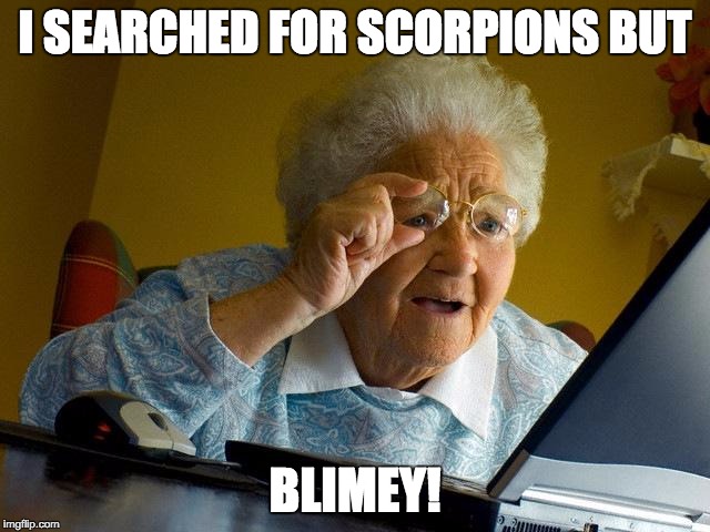 Grandma Finds The Internet Meme | I SEARCHED FOR SCORPIONS BUT BLIMEY! | image tagged in memes,grandma finds the internet | made w/ Imgflip meme maker