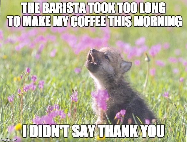 Baby Insanity Wolf Meme | THE BARISTA TOOK TOO LONG TO
MAKE MY COFFEE THIS MORNING I DIDN'T SAY THANK YOU | image tagged in memes,baby insanity wolf | made w/ Imgflip meme maker