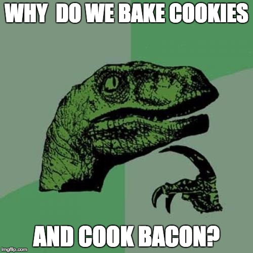 Philosoraptor Meme | WHY  DO WE BAKE COOKIES AND COOK BACON? | image tagged in memes,philosoraptor | made w/ Imgflip meme maker