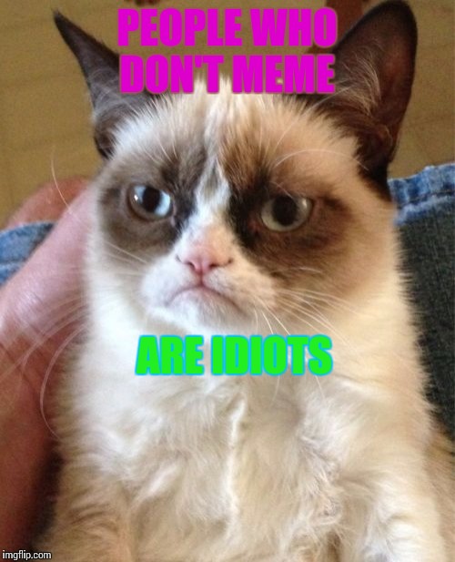 Grumpy Cat | PEOPLE WHO DON'T MEME ARE IDIOTS | image tagged in memes,grumpy cat | made w/ Imgflip meme maker