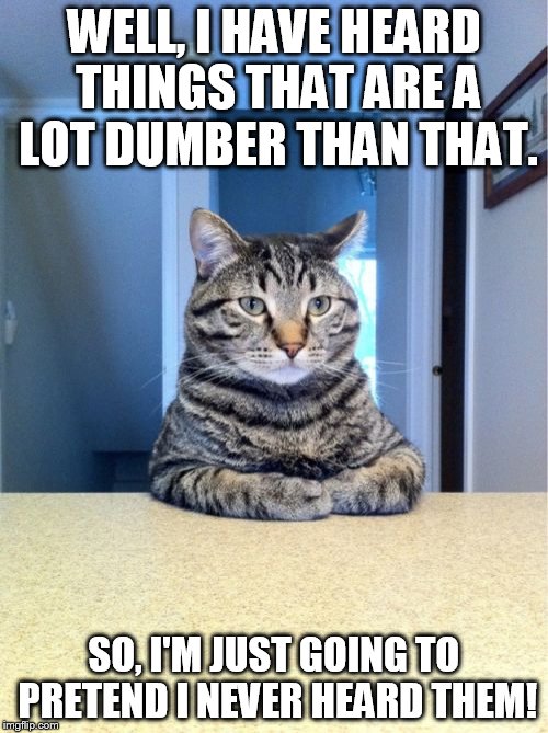 I'm Going To Pretend I Didn't Hear | WELL, I HAVE HEARD THINGS THAT ARE A LOT DUMBER THAN THAT. SO, I'M JUST GOING TO PRETEND I NEVER HEARD THEM! | image tagged in memes,take a seat cat,humor,cat,funny cat,funny | made w/ Imgflip meme maker
