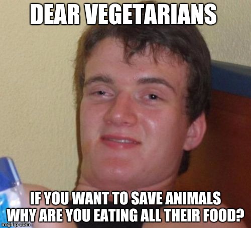 10 Guy | DEAR VEGETARIANS IF YOU WANT TO SAVE ANIMALS WHY ARE YOU EATING ALL THEIR FOOD? | image tagged in memes,10 guy | made w/ Imgflip meme maker