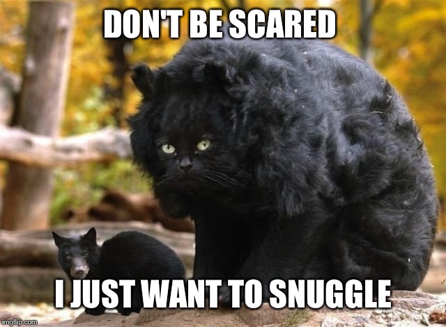 DON'T BE SCARED I JUST WANT TO SNUGGLE | made w/ Imgflip meme maker