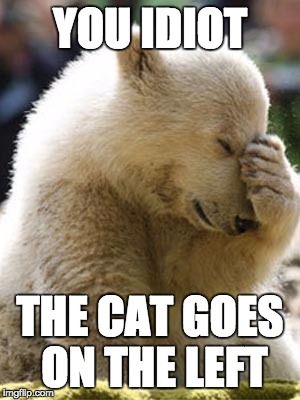 Facepalm Bear | YOU IDIOT THE CAT GOES ON THE LEFT | image tagged in memes,facepalm bear | made w/ Imgflip meme maker