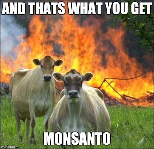 Evil Cows | AND THATS WHAT YOU GET MONSANTO | image tagged in memes,evil cows | made w/ Imgflip meme maker