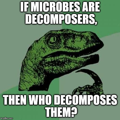 Philosoraptor | IF MICROBES ARE DECOMPOSERS, THEN WHO DECOMPOSES THEM? | image tagged in memes,philosoraptor | made w/ Imgflip meme maker