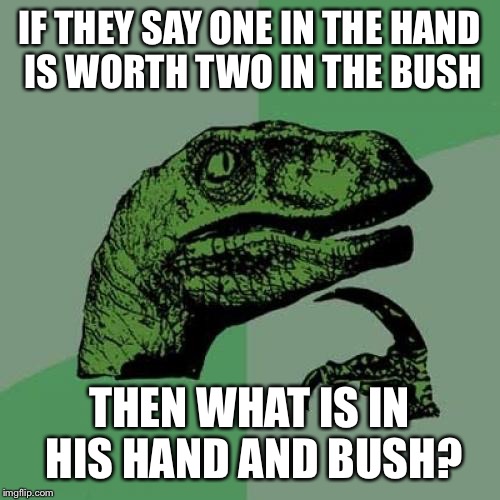 Philosoraptor Meme | IF THEY SAY ONE IN THE HAND IS WORTH TWO IN THE BUSH THEN WHAT IS IN HIS HAND AND BUSH? | image tagged in memes,philosoraptor | made w/ Imgflip meme maker