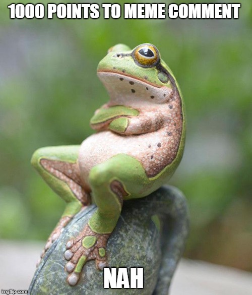 nah frog | 1000 POINTS TO MEME COMMENT NAH | image tagged in nah frog | made w/ Imgflip meme maker