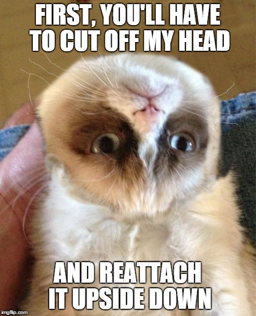 FIRST, YOU'LL HAVE TO CUT OFF MY HEAD AND REATTACH IT UPSIDE DOWN | made w/ Imgflip meme maker