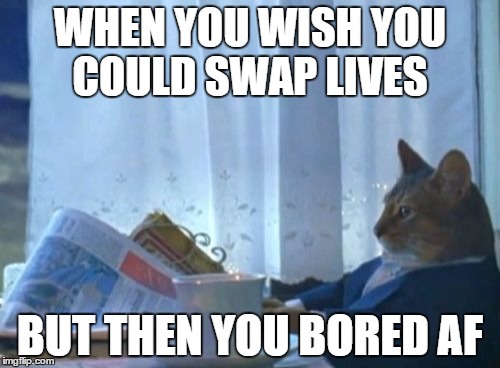 I Should Buy A Boat Cat | WHEN YOU WISH YOU COULD SWAP LIVES BUT THEN YOU BORED AF | image tagged in memes,i should buy a boat cat | made w/ Imgflip meme maker