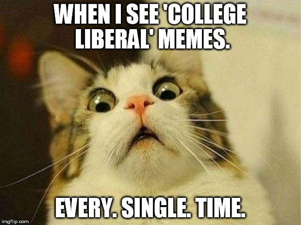 Scared Cat Meme | WHEN I SEE 'COLLEGE LIBERAL' MEMES. EVERY. SINGLE. TIME. | image tagged in memes,scared cat | made w/ Imgflip meme maker