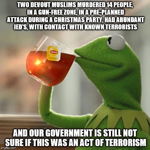 What we think as the news comes on... | TWO DEVOUT MUSLIMS MURDERED 14 PEOPLE, IN A GUN-FREE ZONE, IN A PRE-PLANNED ATTACK DURING A CHRISTMAS PARTY, HAD ABUNDANT IED'S, WITH CONTAC | image tagged in memes,but thats none of my business,kermit the frog | made w/ Imgflip meme maker