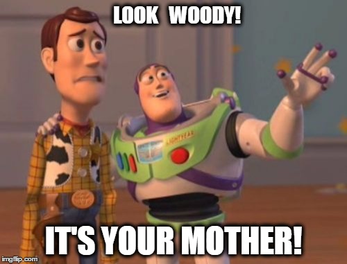 Look, Woody! | LOOK   WOODY! IT'S YOUR MOTHER! | image tagged in memes,x x everywhere | made w/ Imgflip meme maker