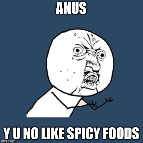 Y U No | ANUS Y U NO LIKE SPICY FOODS | image tagged in memes,y u no | made w/ Imgflip meme maker