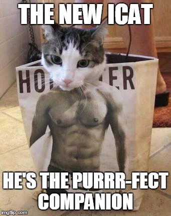 Muscle cat | THE NEW ICAT HE'S THE PURRR-FECT COMPANION | image tagged in muscle cat | made w/ Imgflip meme maker