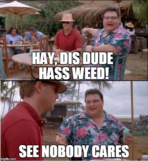 See Nobody Cares Meme | HAY, DIS DUDE HASS WEED! SEE NOBODY CARES | image tagged in memes,see nobody cares | made w/ Imgflip meme maker