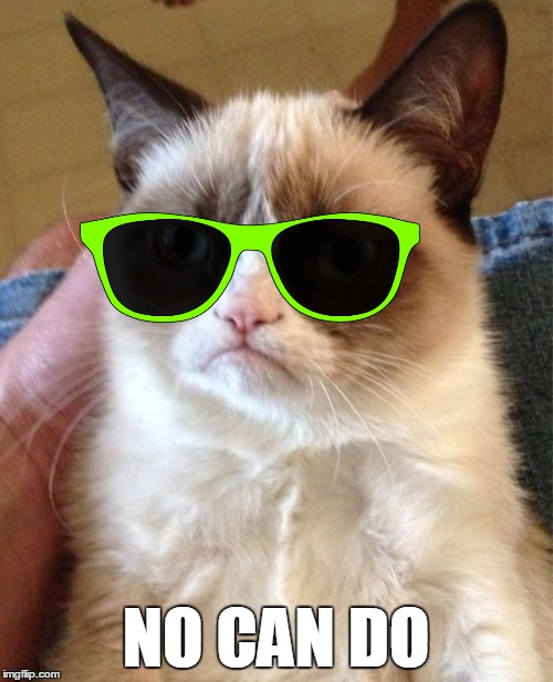 Grumpy Cat Meme | NO CAN DO | image tagged in memes,grumpy cat | made w/ Imgflip meme maker
