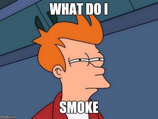 Futurama Fry Meme | WHAT DO I SMOKE | image tagged in memes,futurama fry | made w/ Imgflip meme maker
