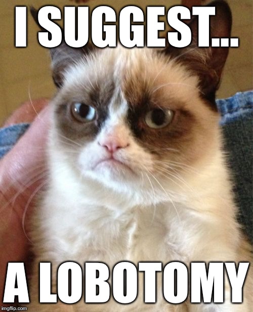 Grumpy Cat Meme | I SUGGEST... A LOBOTOMY | image tagged in memes,grumpy cat | made w/ Imgflip meme maker