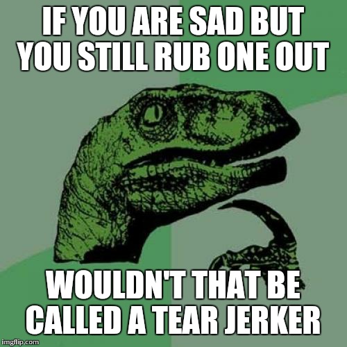 might be NSFW  | IF YOU ARE SAD BUT YOU STILL RUB ONE OUT WOULDN'T THAT BE CALLED A TEAR JERKER | image tagged in memes,philosoraptor | made w/ Imgflip meme maker