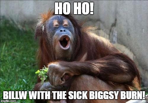 funnymonkey | HO HO! BILLW WITH THE SICK BIGGSY BURN! | image tagged in funnymonkey | made w/ Imgflip meme maker