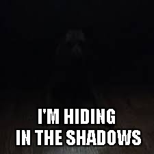 I'M HIDING IN THE SHADOWS | made w/ Imgflip meme maker