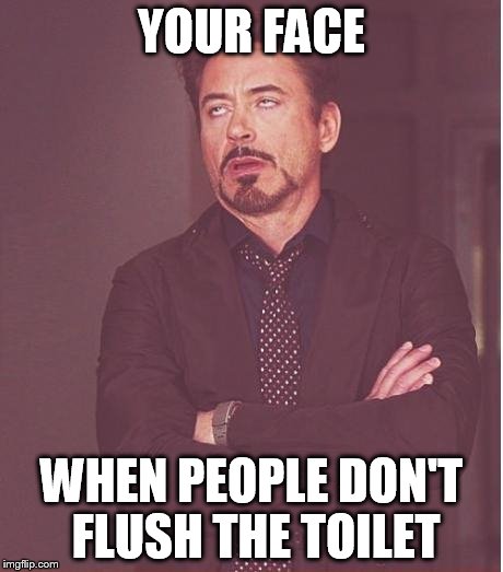 Face You Make Robert Downey Jr Meme | YOUR FACE WHEN PEOPLE DON'T FLUSH THE TOILET | image tagged in memes,face you make robert downey jr | made w/ Imgflip meme maker