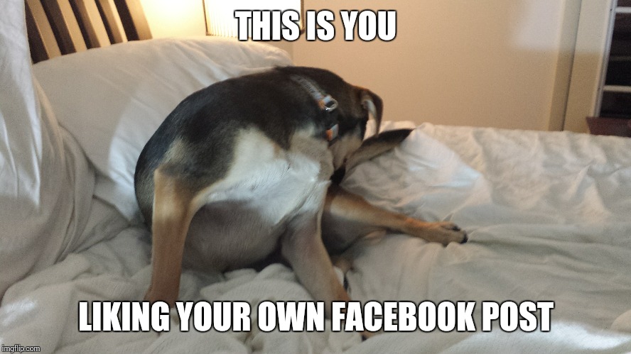 Stop Liking Your Own FB Posts - Imgflip