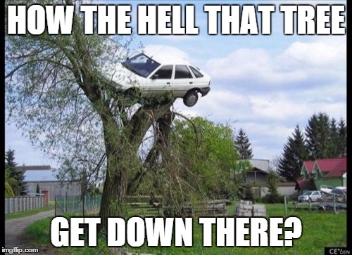 Secure Parking | HOW THE HELL THAT TREE GET DOWN THERE? | image tagged in memes,secure parking | made w/ Imgflip meme maker