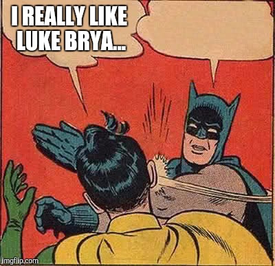 Batman Slapping Robin Meme | I REALLY LIKE LUKE BRYA... | image tagged in memes,batman slapping robin | made w/ Imgflip meme maker